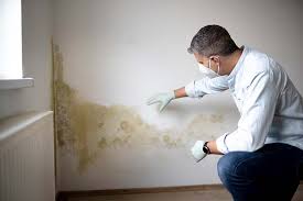 Best Comprehensive Air Testing for Mold Contaminants in USA